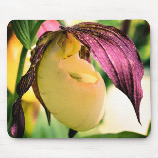 Tapis De Souris Fleur d'orchidée blanche