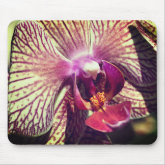 Tapis De Souris Fleur d'orchidées de papillon