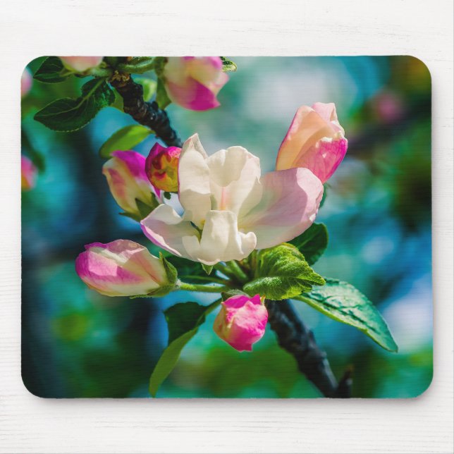 Tapis De Souris Fleur et bourgeons de pommes de terre (Devant)
