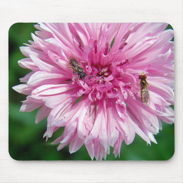 Tapis De Souris Fleur et insectes roses (Devant)
