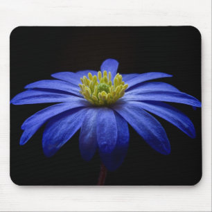 Tapis De Souris Fleur Gerbera Blue Daisy sur un arrière - plan noi