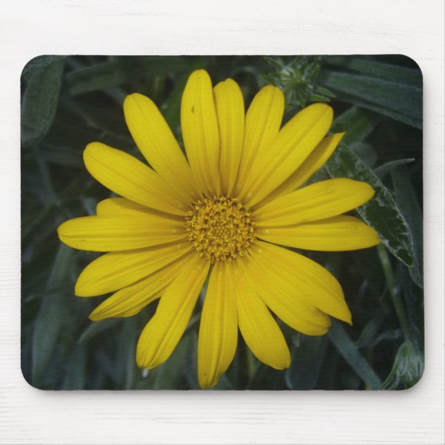 Tapis De Souris fleur jaune clair (Devant)