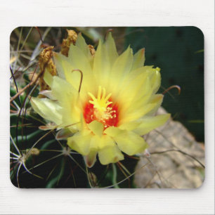 Tapis De Souris Fleur jaune de cactus d'hameçon