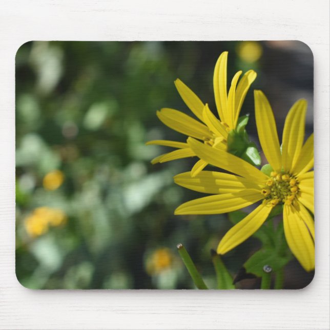 Tapis De Souris Fleur Jaune Fleur Florale Nature Photographie (Devant)