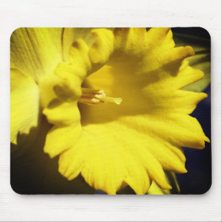Tapis De Souris Fleur jonquille jaune