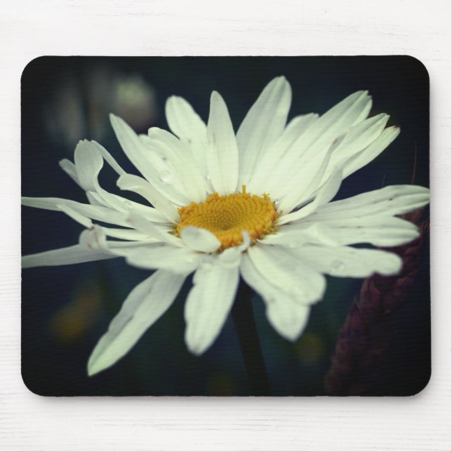 Tapis De Souris Fleur marguerite blanche (Devant)