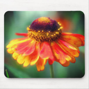 Tapis De Souris Fleur marguerite orange jaune Zinnia