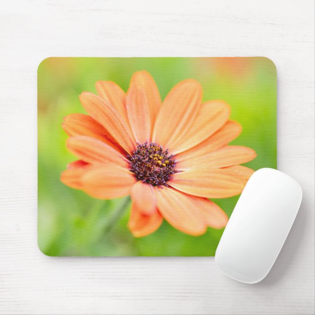 Tapis De Souris Fleur orange (Avec souris)