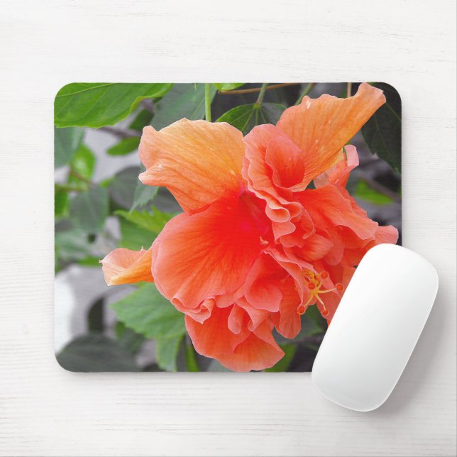 Tapis De Souris Fleur orange (Avec souris)