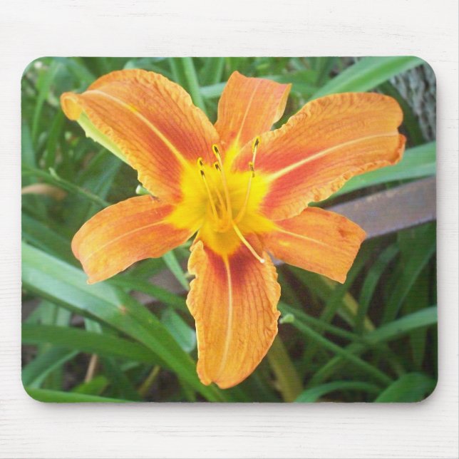 Tapis De Souris Fleur orange (Devant)