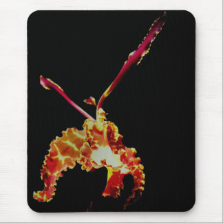 Tapis De Souris Fleur Orange