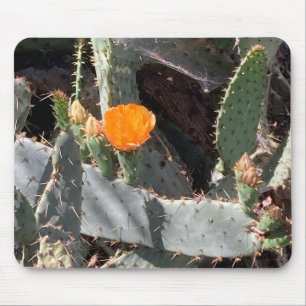 Tapis De Souris Fleur orange dans un cactus du Balboa Park