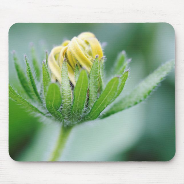 Tapis De Souris Fleur ouverte de l'Echinacea (Devant)