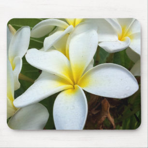 Tapis De Souris Fleur Plumeria Hawaii Blanc