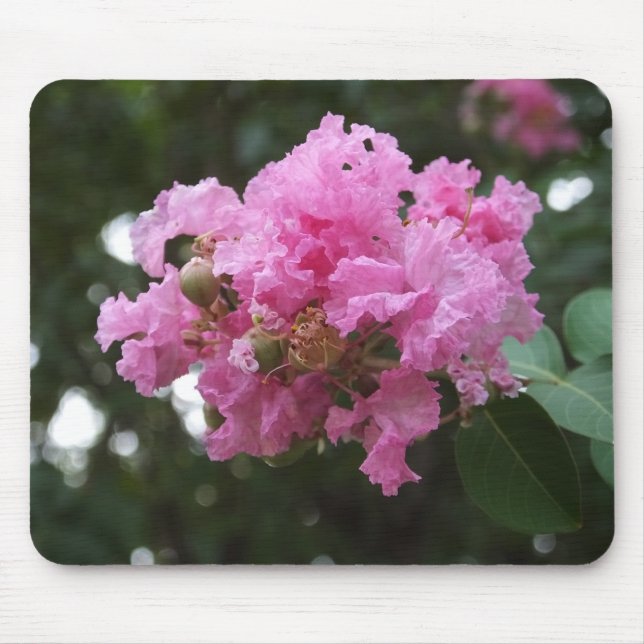 Tapis De Souris Fleur rose (Devant)