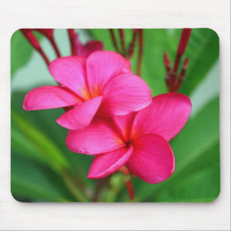 Tapis De Souris Fleur rose de Hawaïen de Frangipani de Plumeria