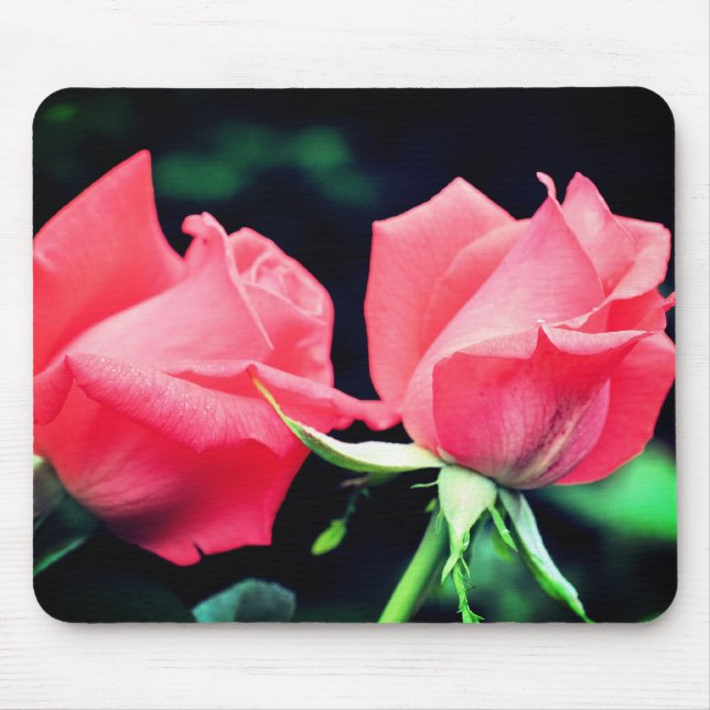 Tapis De Souris Fleur Rose Duo Peach (Devant)
