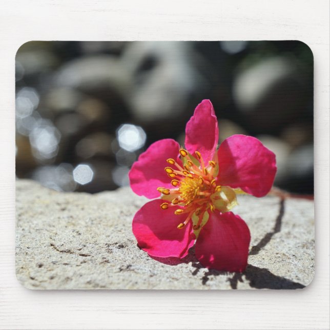 Tapis De Souris Fleur rose mystérieuse (Devant)