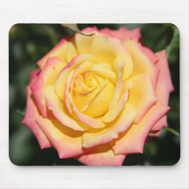 Tapis De Souris Fleur rose rose jaune chaud (Devant)
