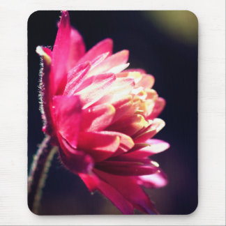 Tapis De Souris Fleur rouge soleil floral