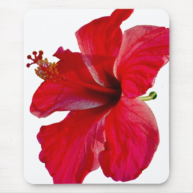 Tapis De Souris Fleur rouge tropicale de ketmie (Devant)