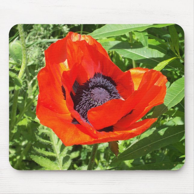 Tapis De Souris Fleur rouge vif sur vert (Devant)