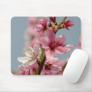 Tapis De Souris Fleur Sakura, Fleur japonaise rose
