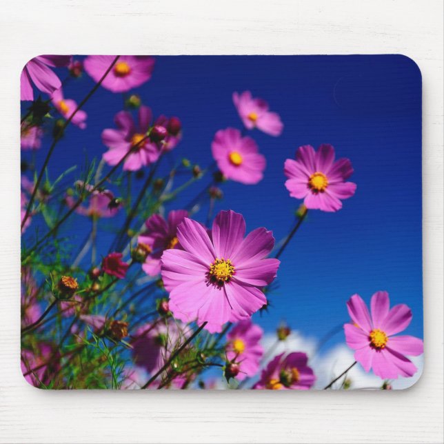 Tapis De Souris Fleur sauvage (Devant)