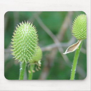 TAPIS DE SOURIS FLEUR SAUVAGE 2