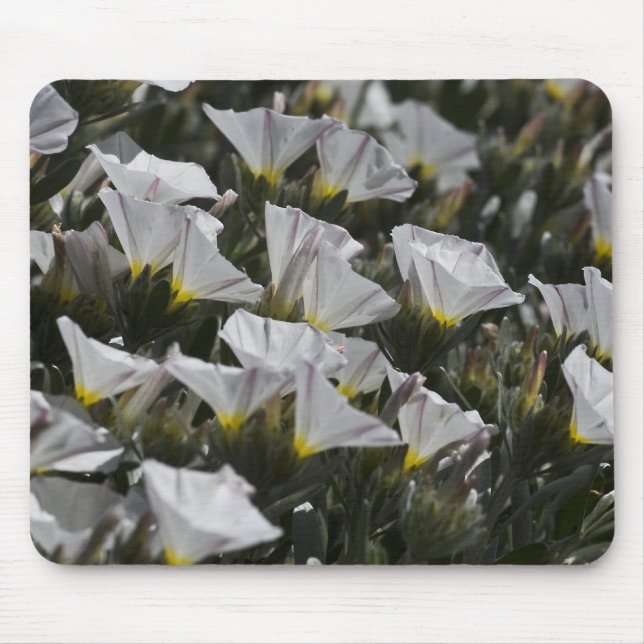 Tapis De Souris fleur sauvage blanc (Devant)