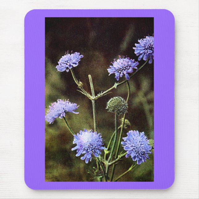 Tapis De Souris Fleur sauvage : Champ Scabious (Devant)