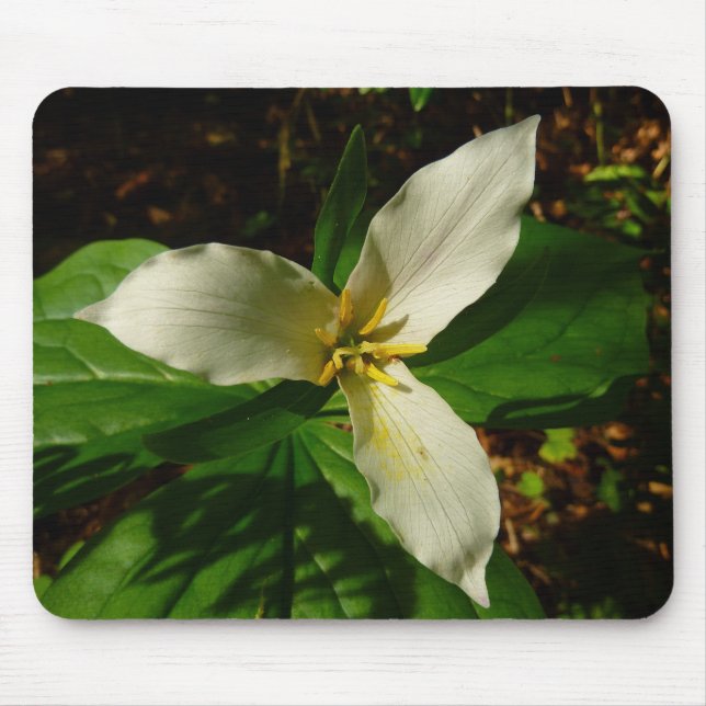 Tapis De Souris Fleur sauvage de printemps blanc Trillium Flower (Devant)