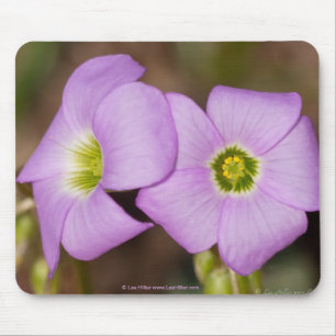 Tapis De Souris Fleur sauvage - Pad de souris rose Oxalis