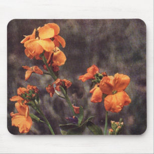 Tapis De Souris Fleur sauvage : Wallflower