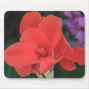 Tapis De Souris Fleur trouvée dans les jardins du D. Carlos I