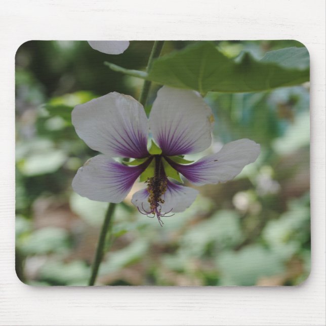Tapis De Souris Fleur Violette (Devant)