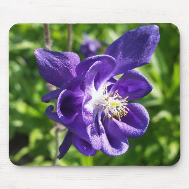 Tapis De Souris fleur violette brillante (Devant)