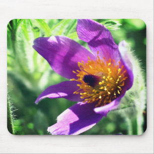 Tapis De Souris Fleur violette Pasque