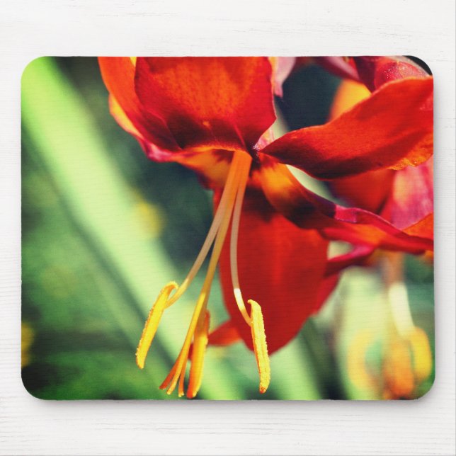 Tapis De Souris Fleurie Orange Lily Flower (Devant)