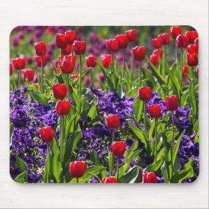 Tapis De Souris Fleurit des pavots