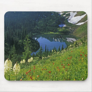 Tapis De Souris Fleurs alpines dans le Jewel Basin dans la