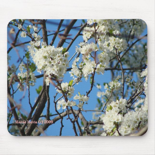 Tapis De Souris Fleurs blanches - Jardins de Californie Mousepad (Devant)