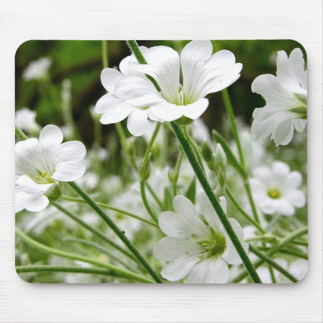Tapis De Souris Fleurs blanches simples (Devant)