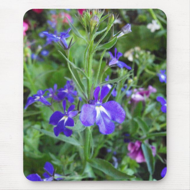 Tapis De Souris fleurs bleues (Devant)