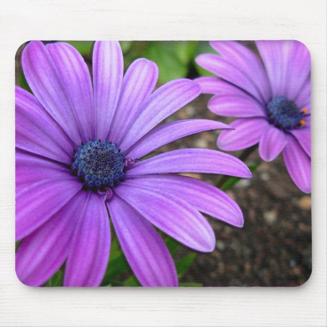Tapis De Souris Fleurs Bleues Mousepad Daisy Daisy Cadeaux Ordinat (Devant)