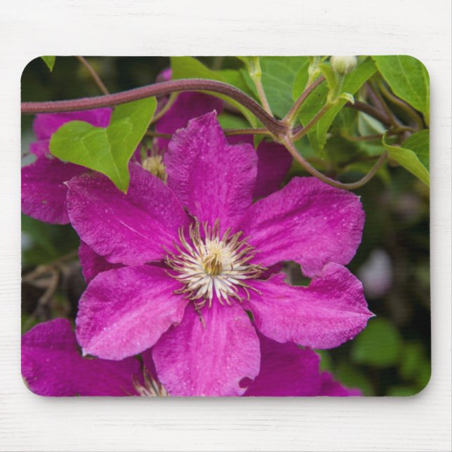 Tapis De Souris Fleurs chez Robinette's Apple Haus & Gift Barn (Devant)
