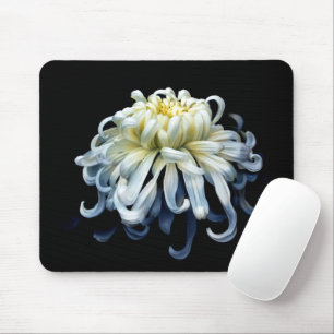 Tapis De Souris Fleurs   Chrysanthème blanc