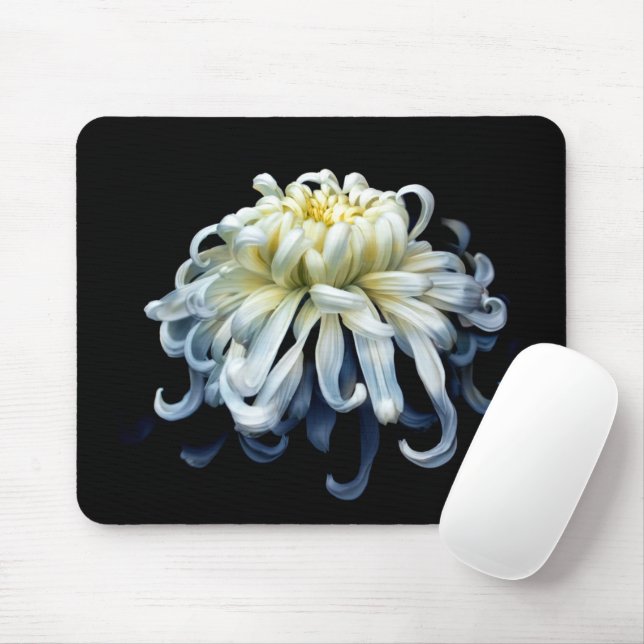 Tapis De Souris Fleurs | Chrysanthème blanc (Avec souris)