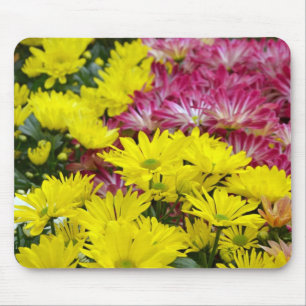 Tapis De Souris Fleurs chrysanthèmes colorées