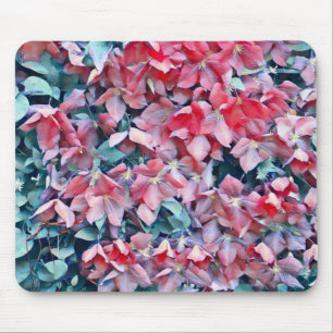 Tapis De Souris Fleurs Clematis